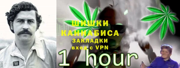 ешки Богородск