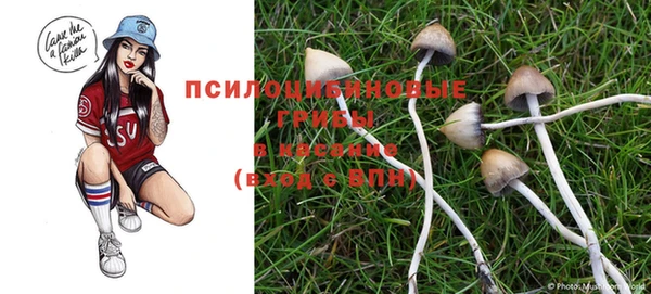 бутират Белокуриха