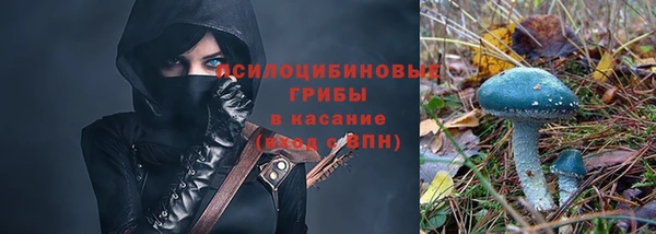 ALPHA-PVP Богородицк