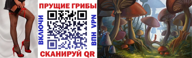 Галлюциногенные грибы ЛСД  Горняк 